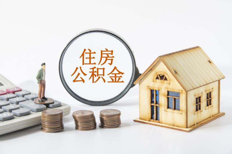 民间应急垫资的重要性与作用